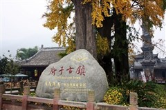 街子古镇.jpg