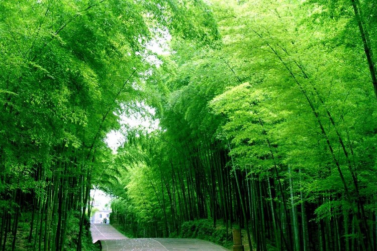 未标题-2.jpg